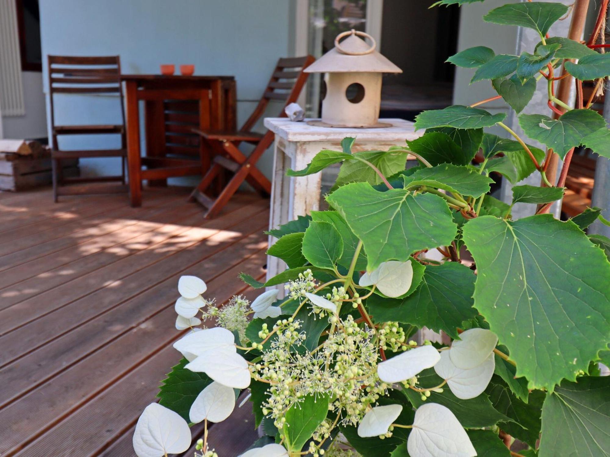 Modern Apartment With Garden In Wißmar Exteriör bild